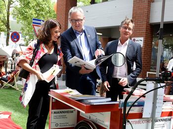 Die Straße wird zur grünen Insel