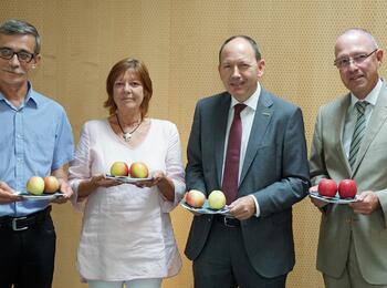 Erster Bürgermeister Christian Specht (2.v.r.) präsentiert mit Peer-Kai Schellenberger (r.), Leiter Abteilung Verbraucherschutz, und seinen Mitarbeitern verschiedene Äpfel. Welche stammen aus Deutschland, welche sind Importware?