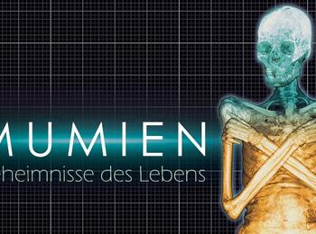 Plakatmotiv Mumien-Ausstellung