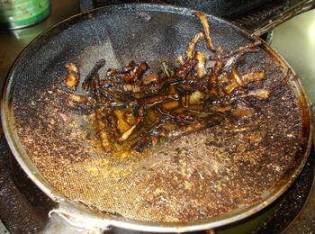 Pommes in einem verdreckten Sieb
