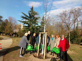 Symbolische Baumpflanzung Hauptfriedhof