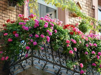 Mit Blumen geschmückter Balkon 