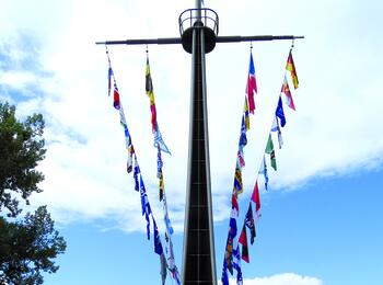 Insgesamt 44 neue Flaggen wehen künftig zu Feiertagen und besonderen Anlässen am Rheinufer auf dem Lindenhof.
