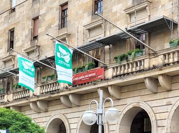 Beflaggung am Rathaus Mayors for Peace