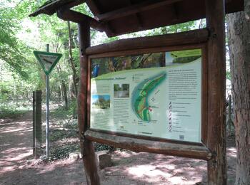 Die neue Informationstafel am Eingang der Reißinsel