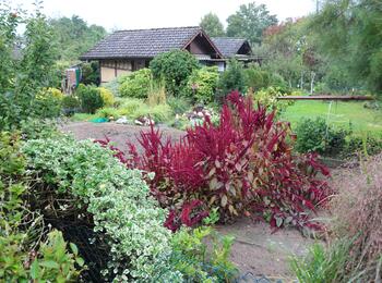 Blick auf einen Kleingarten mit Bepflanzung