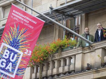 Buga-Fahnen am Rathaus entrollt