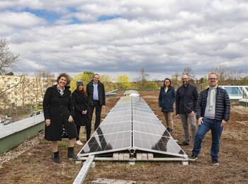 Photovoltaik-Vogelstangschule
