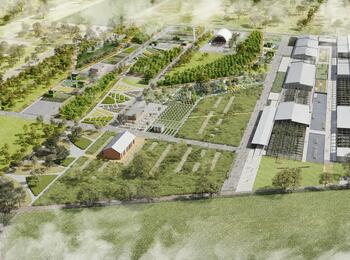 Experimentierfeld nördlich der U-Halle