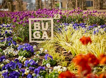 Blütenmeer auf der BUGA 23