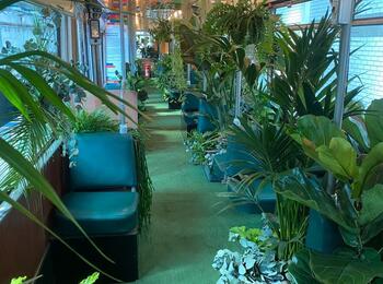 Die grüne Straßenbahn soll verdeutlichen, dass jeder Fahrgast von Bahnen und Bussen einen wertvollen Beitrag für das Klima und die Luftqualität leistet.