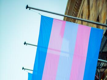 Trans*Aktionswochen: Beflaggung Rathaus