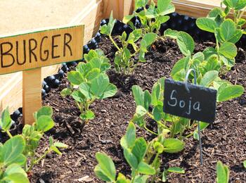 Faire Wochen in Mannheim: Weltacker