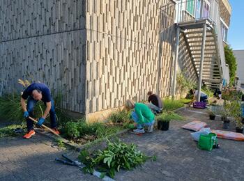 Freiwilligentage 2024: Begrünung Markthaus