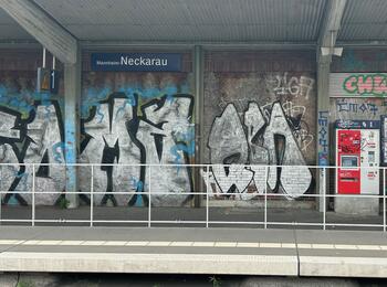 Am Bahnhof Neckarau gibt es immer wieder Verunreinigungen, Vandalismus und letztes Jahr sogar einen Brand im leerstehenden Zugangsgebäude.