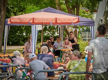 Bibliotheksfest Schönau 