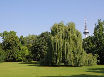 Luisenpark Mannheim mit Fernmeldeturm