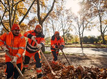Das Foto zeigt Mitarbeiter des Stadtraumservice Mannheim bei der Beseitigung von Laub