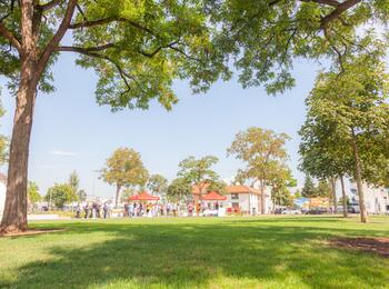 Umgestaltung Habichtplatz