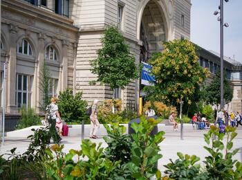 Neugestaltung Willy-Brandt-Platz (Schwetzingerstadt, 2025)