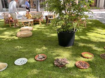 ausgerollter Rasen in der Fußgängerzone