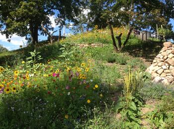 Stadtpark mit Blumenwiese