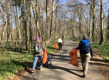 Menschen sammeln Müll im Wald auf 