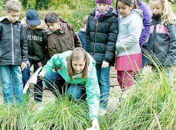 Eine Schulklasse beim Tümpeln 