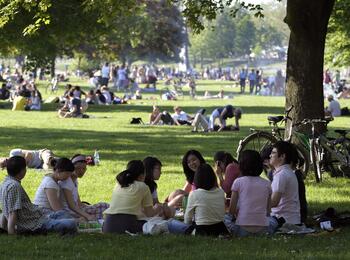 Gruppe sitzt im Schatten unter einem Baum