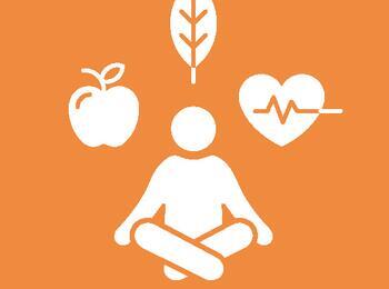 Koordinationsstelle Gesunde Stadt