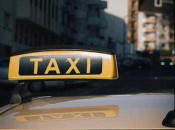 Taxischild