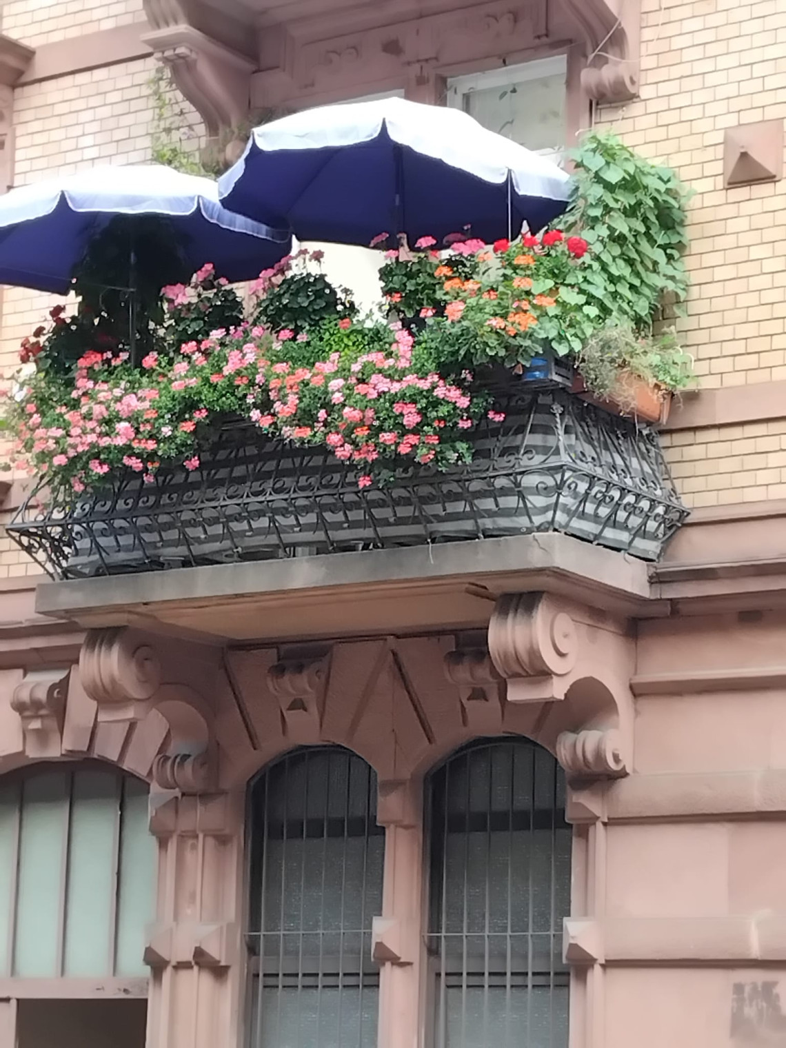 Üppig bepflanzter Balkon
