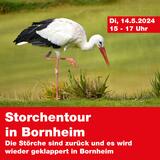 Storchentour in Bornheim