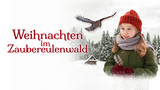 Kinderkino: "Weihnachten im Zaubereulenwald"