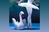 Schwanensee: International Festival Ballet