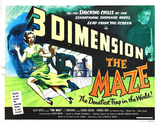 Pop-Out! Festival des 3D-Films: "The Maze"