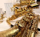 Stadtkapelle Frankenthal im Herzogenriedpark