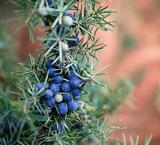 Führungen für Erwachsene