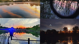 Leben im Wasser und am Pfingstbergweiher