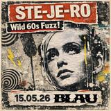 Ste-Je-Ro!!! Wild 60s Garage Party!!!