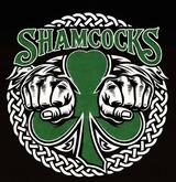THE SHAMCOCKS - celtic punk'n'roll / DJ Skaot Aftershow