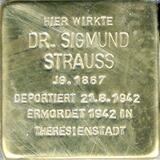 Dr. Sigmund Strauß