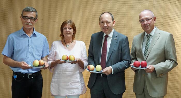 Erster Bürgermeister Christian Specht (2.v.r.) präsentiert mit Peer-Kai Schellenberger (r.), Leiter Abteilung Verbraucherschutz, und seinen Mitarbeitern verschiedene Äpfel. Welche stammen aus Deutschland, welche sind Importware?
