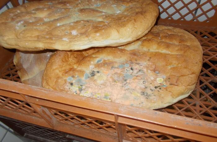 Verschimmeltes Fladenbrot