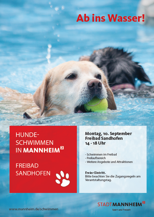 Hundeschwimmen im Freibad Sandhofen