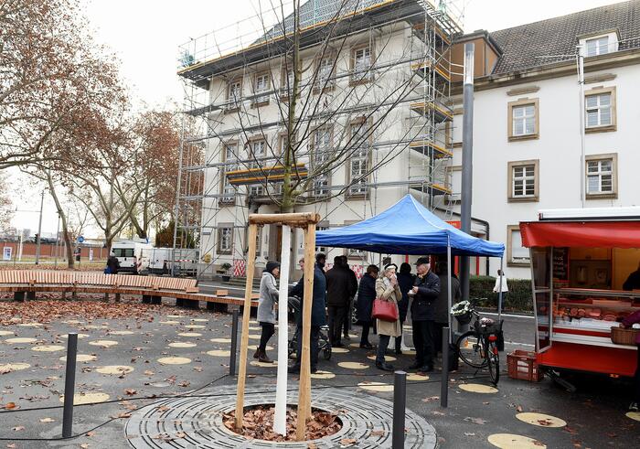Laubbaum vollendet die Neugestaltung des Meeräckerplatzes