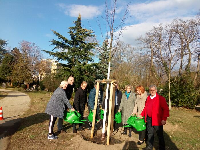 Symbolische Baumpflanzung Hauptfriedhof