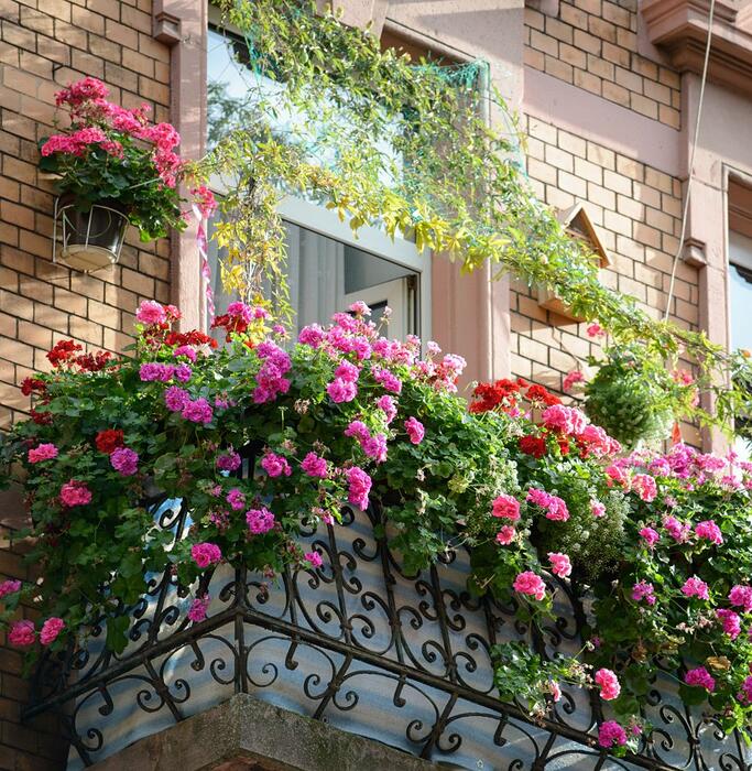 Mit Blumen geschmückter Balkon 