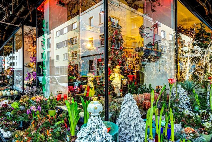 Schaufenster Feldblume