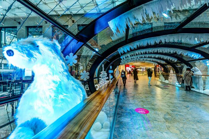 Schaufensterwettbewerb Q6Q7